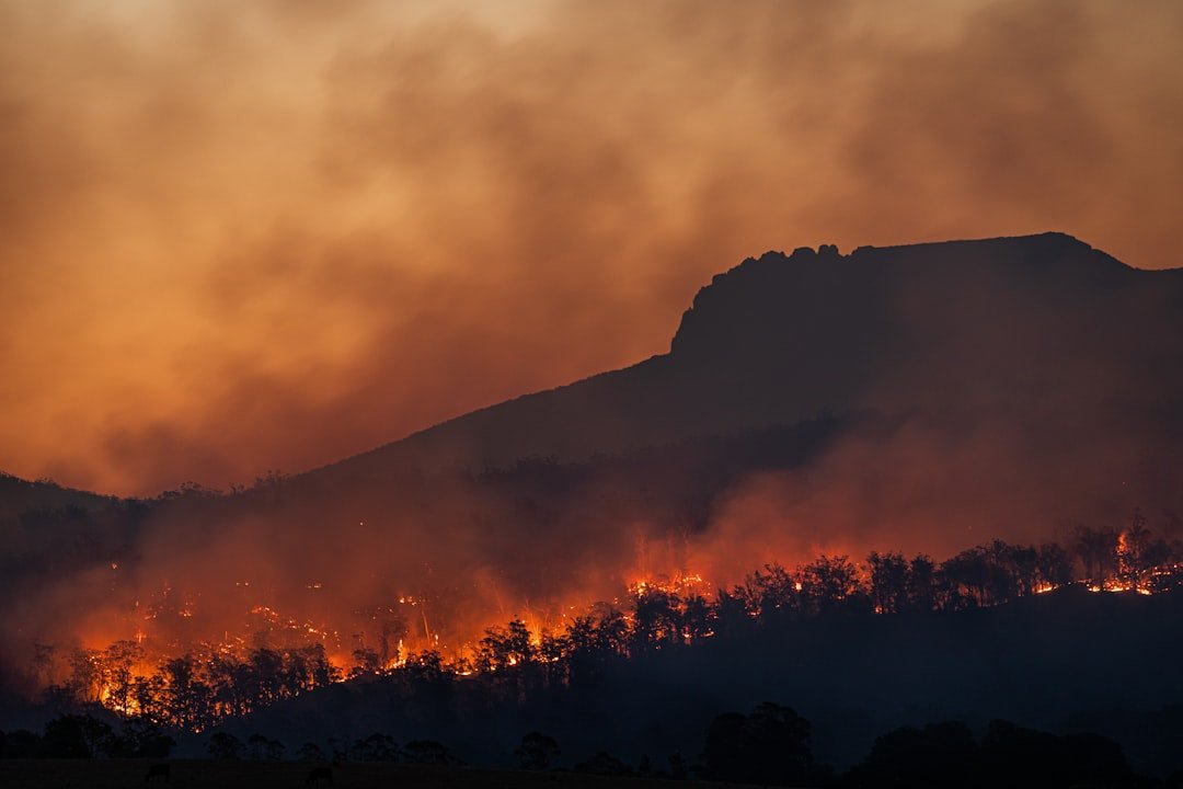 France & Spain Wildfires: Remote Worker Safety Guide